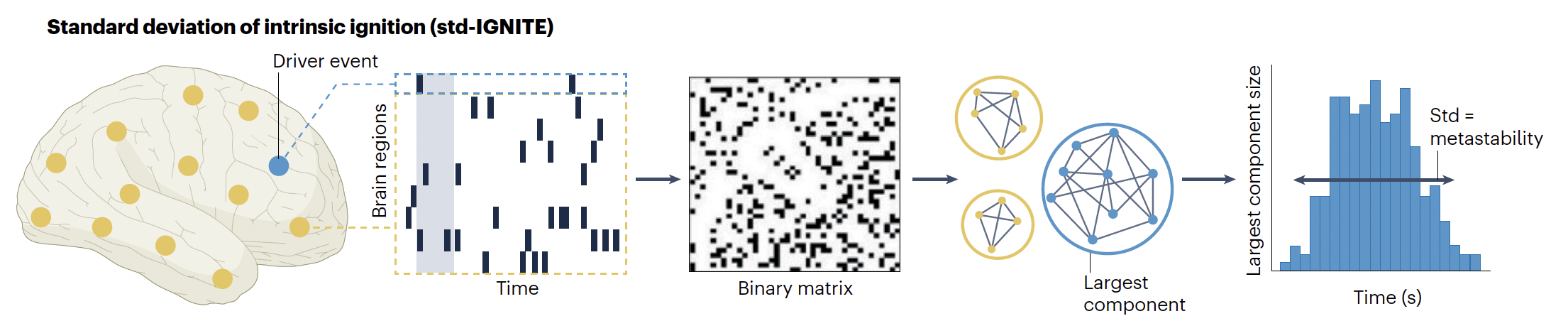 metastability_NRN